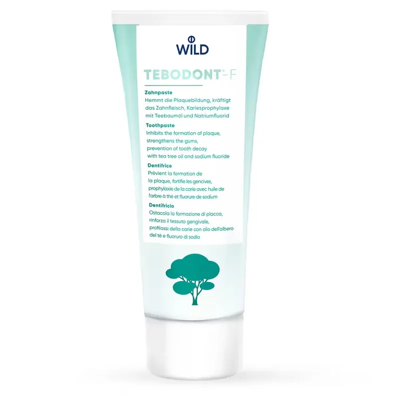 Echt Tebodont-F Zahnpaste Tube 75 ml