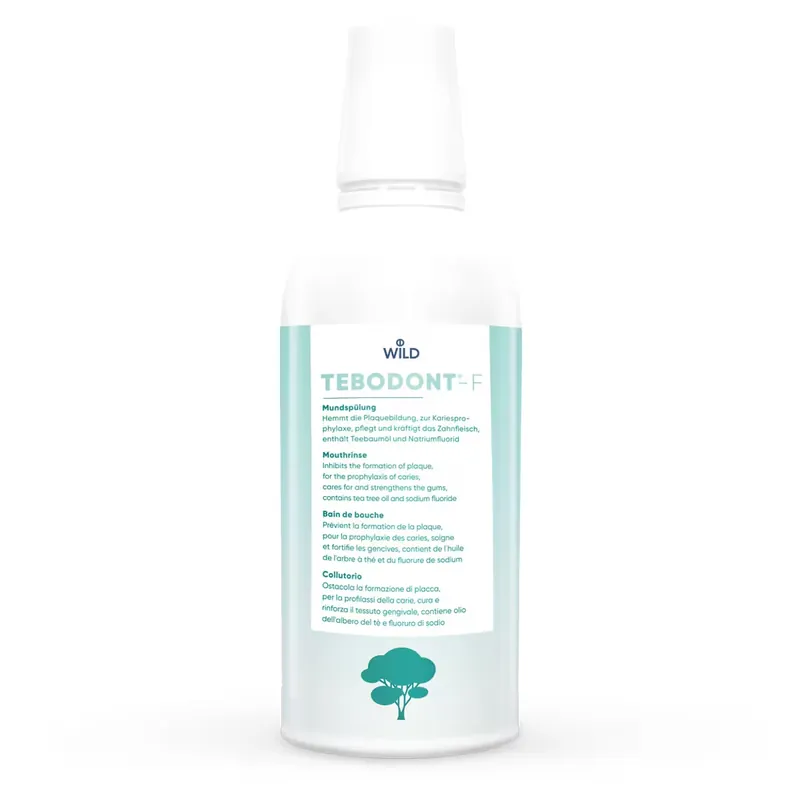 Neu Tebodont-F Mundspülung Petflasche 500 ml