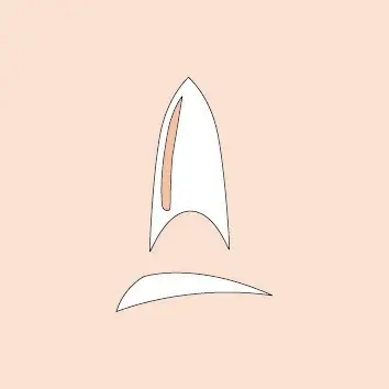 Bestpreis Transparente Tips Stiletto 10 Größen