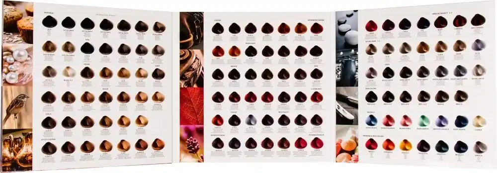 Echt Color System Farbkarte 2020
