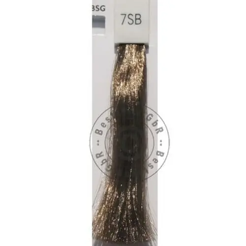 Goldwell Topchic 7SB silver beige 250 ml Direktkauf