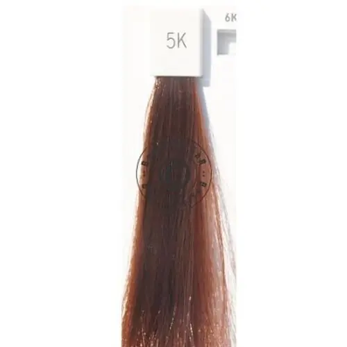 Top-Preis Goldwell Topchic 5K mahagoni-kupfer 250 ml