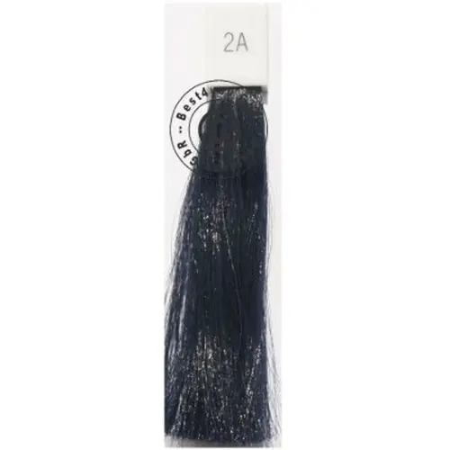 Finale Aktion Goldwell Topchic 2A blauschwarz 60 ml