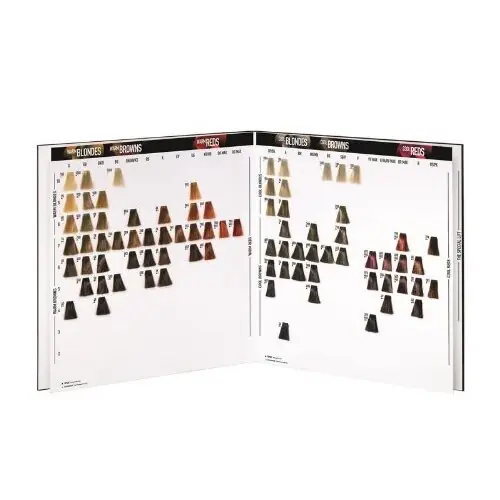 Preisknaller Goldwell Farbkarte TopChic Color / Colorance