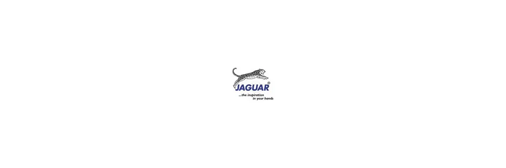 Nur Für Kurze Zeit Jaguar