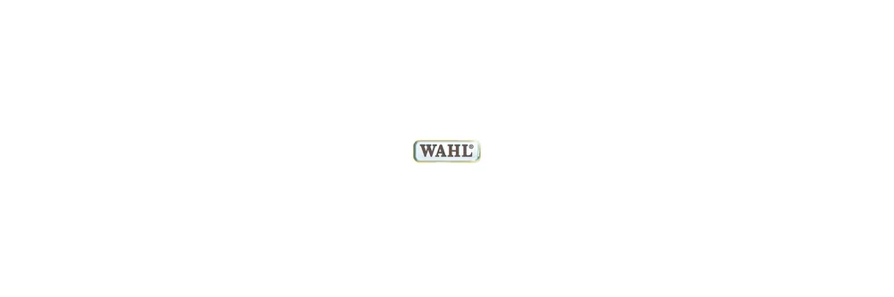 Wahl Sichere Zahlung