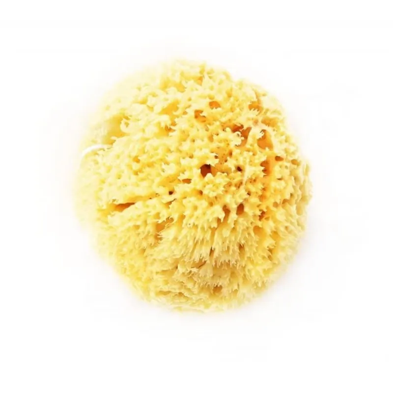 Knallerangebot Naturschwamm klein