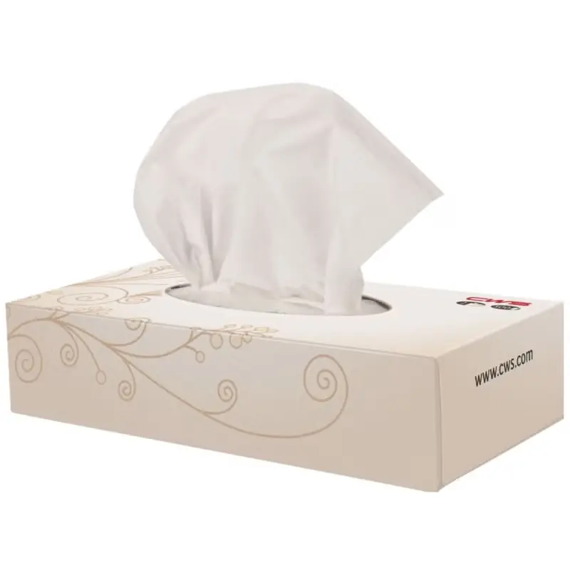 Direktkauf Zellstoff-Kosmetiktücher Tissue Box, 2-lagig (20x100 Blatt)