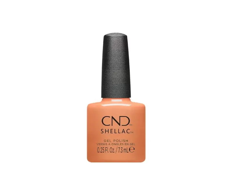 Sichere Zahlung Shellac Maniverse Daydreaming