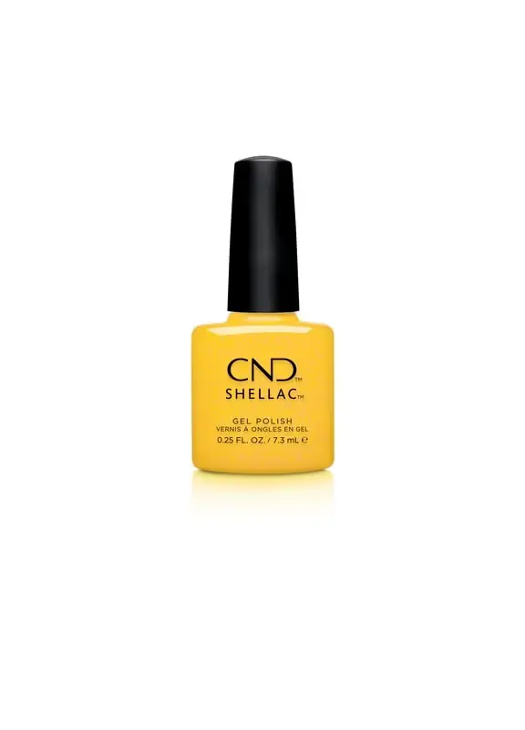 Sonderangebot Shellac Gleam & Glow Catching Light