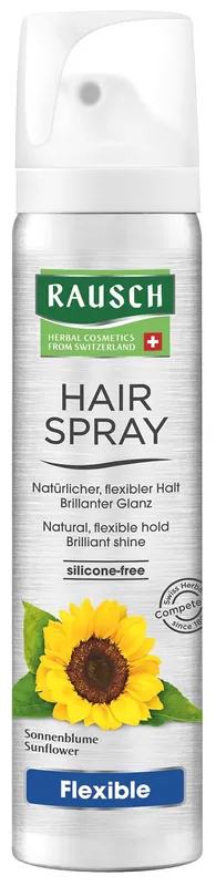 Versand Am Gleichen Tag Hairspray Flexible Aerosol