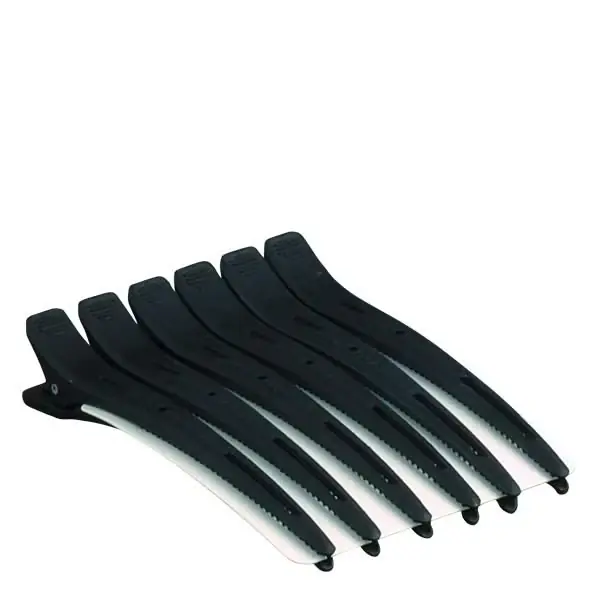 Carbon Abteilclips Echt