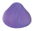 Neue Kollektion Directions wisteria 89ml