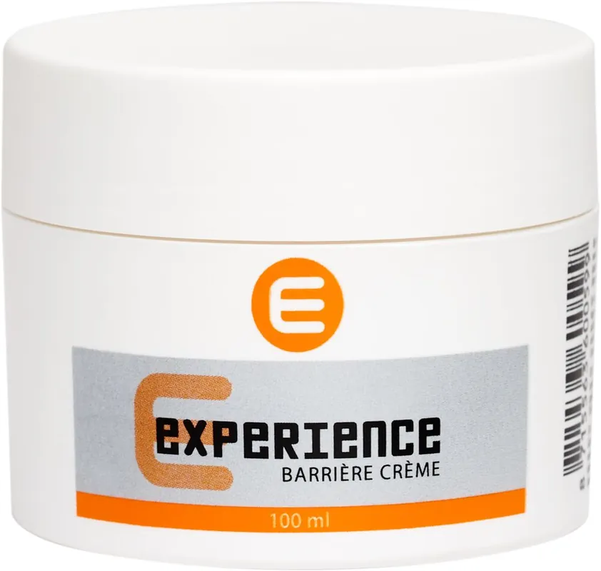 Artistique Experience Barrier Hautschutzcreme 100ml Sonderaktion