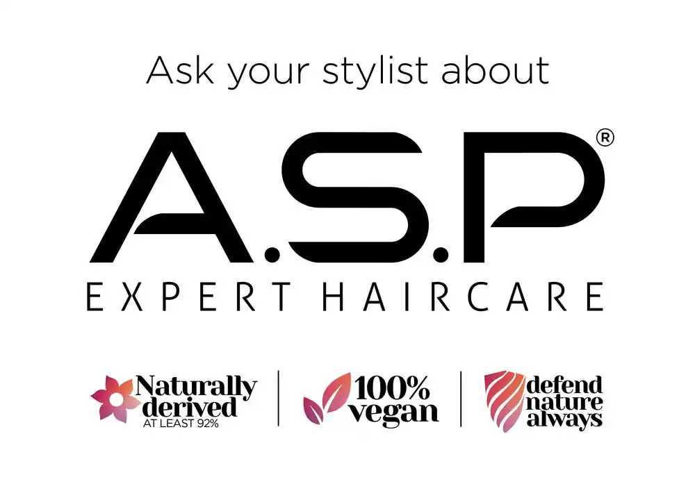 Saisonangebot ASP Window Sticker
