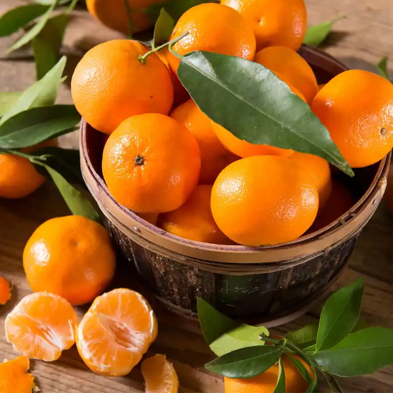 Mandarin - Candle fragrance oil Expressversand