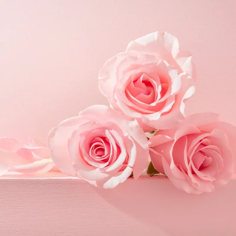 Online Kaufen Rose - Candle fragrance oil