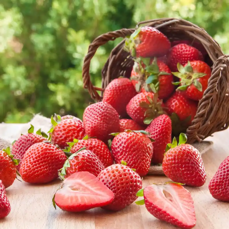 Strawberry - Candle fragrance oil Abverkauf