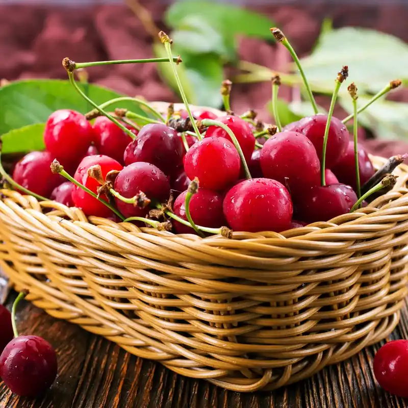 Cherry - Candle fragrance oil Neu