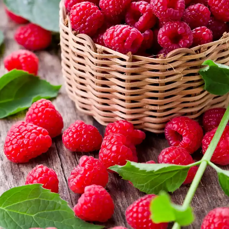 Raspberry - Candle fragrance oil Preisreduziert