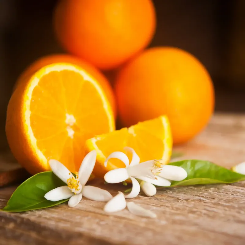 Orange petals - Candle fragrance oil Günstig