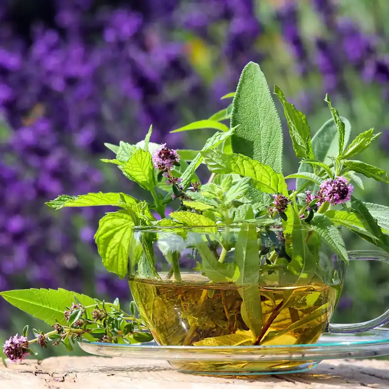 Markenprodukt Verbena and peppermint - Candle fragrance oil