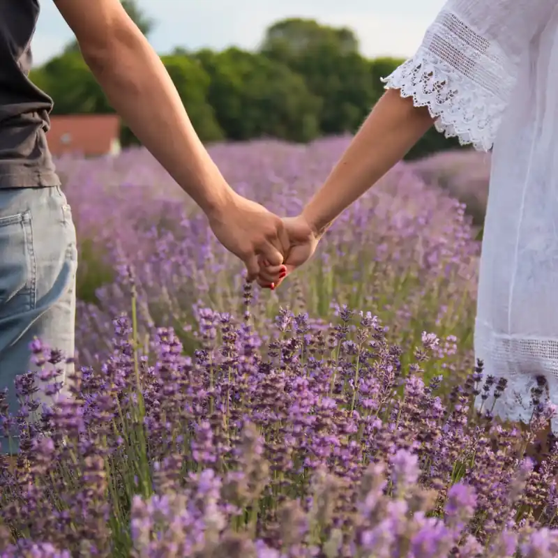 Love in the meadow - Candle fragrance oil Preis Gesenkt