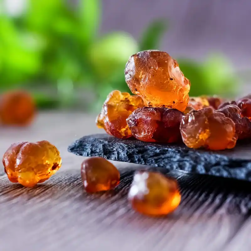 Neue Ware Amber wood Ornat - Candle fragrance oil
