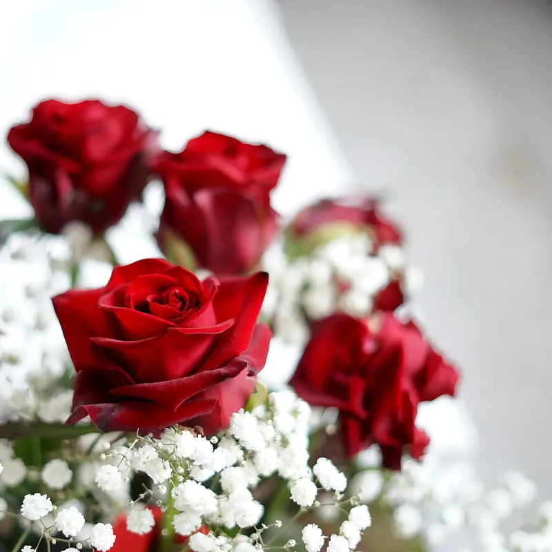 Solange Der Vorrat Reicht Eternal rose - Candle fragrance oil
