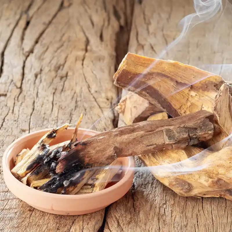 Palo santo - Candle fragrance oil Highlight