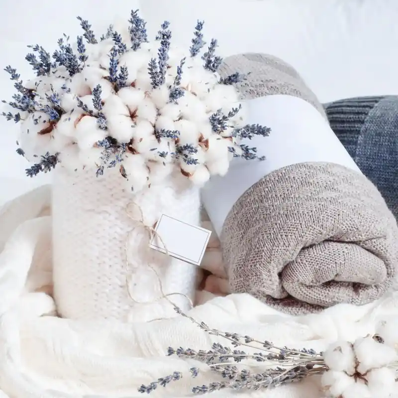Lavender cotton soap - Liquid soap fragrance Jetzt Bestellen