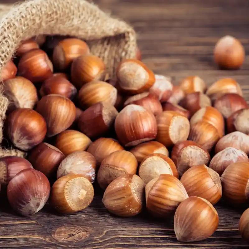 Hazelnut burst Boost - Candle fragrance oil Neuheit