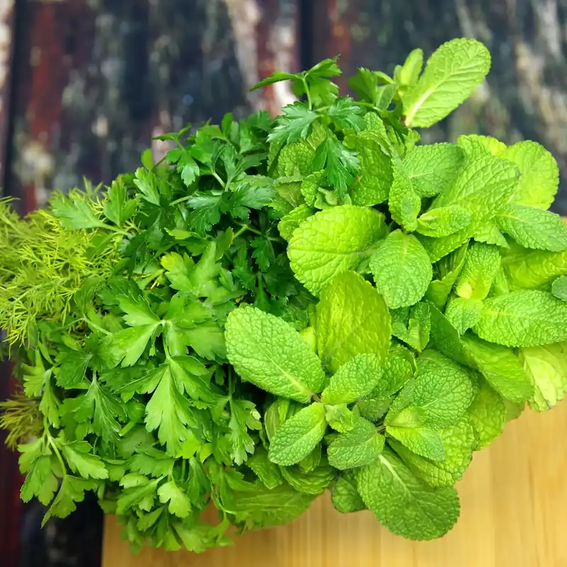 Parsley mint - Candle fragrance oil Sale