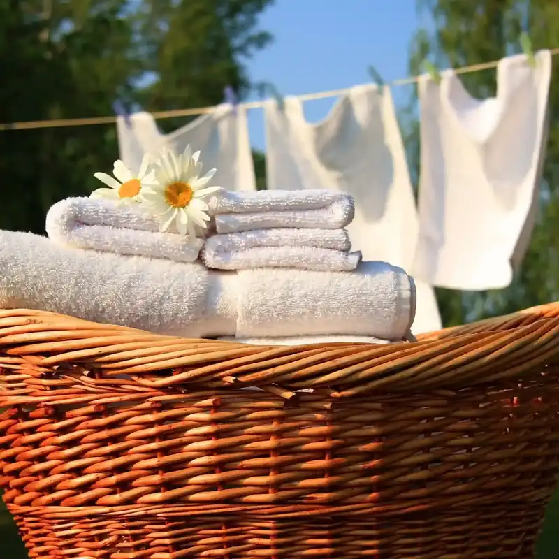 Neue Ware Divine sweetness - Laundry fragrance